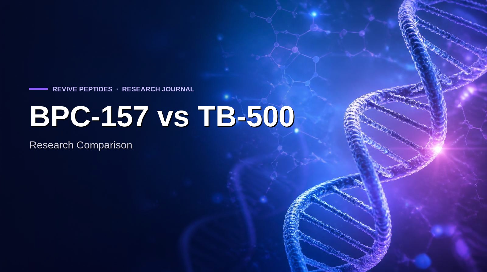 BPC-157 and TB-500: What the Regenerative Research Literature Covers